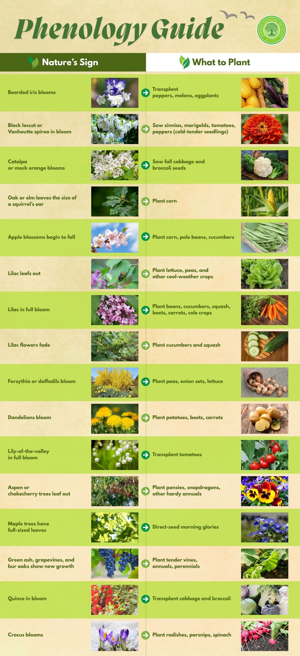 Phenology Guide